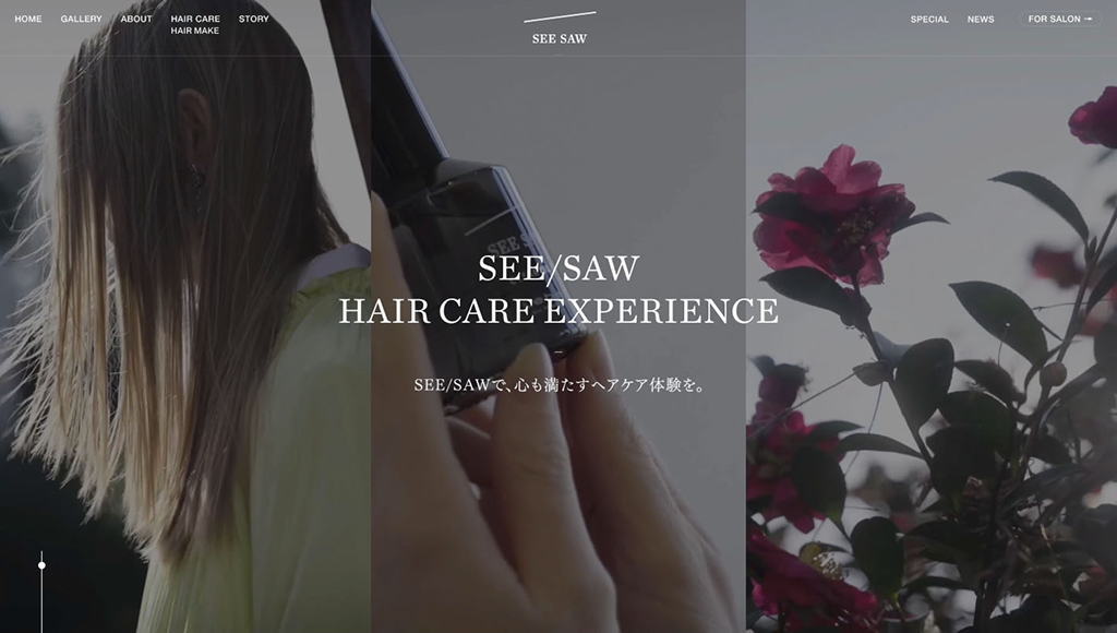 HARECARE EXPERIENCE