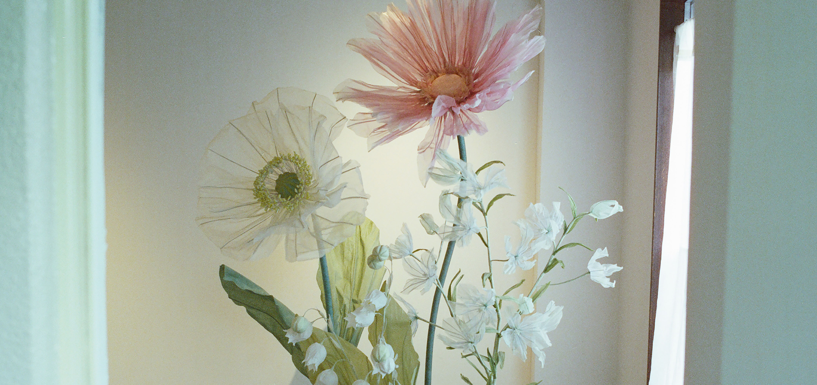 TIME TO BLOOM ボカシ